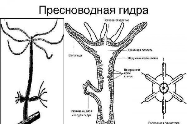 Kraken даркнет gigageek ru