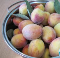 Десять рецептов ароматного компота из персиков на зиму — выбирай!