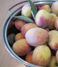 Десять рецептов ароматного компота из персиков на зиму — выбирай!