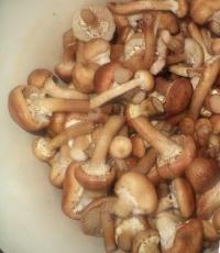 Маринованные грибы опята – пошаговый рецепт с фото приготовления